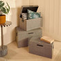 Voir la diapositive 3 : ATMOSPHERA Lot de 3 Malles de Rangement  The Palm Resort  57cm Gris