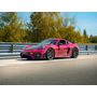Voir la diapositive 4 : Smartbox Stage de pilotage : 2 tours sur le circuit du Bourbonnais en Porsche 718 Cayman GT4 RS - Coffret Cadeau Sport & Aventure