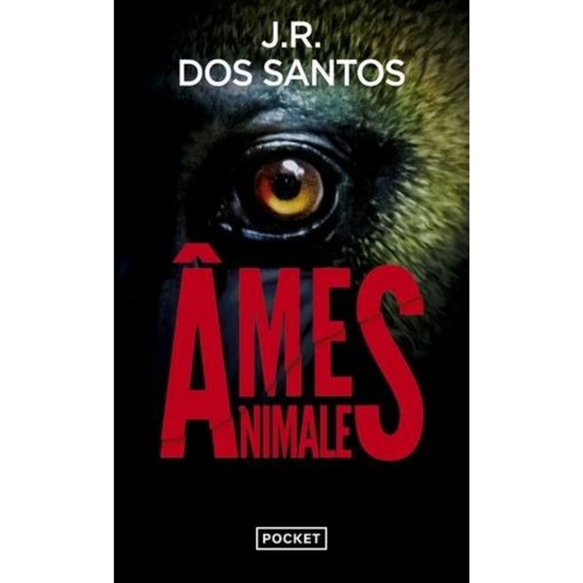 AMES ANIMALES, Dos Santos José Rodrigues