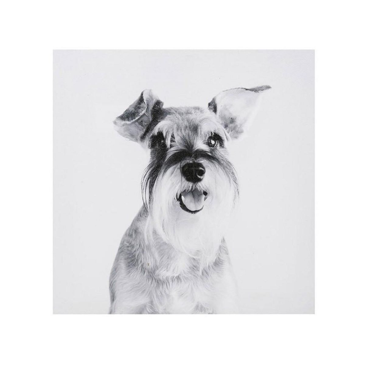 OSTARIA Ensemble de 4 tableaux sur toile imprimée 28x28 cm Funny