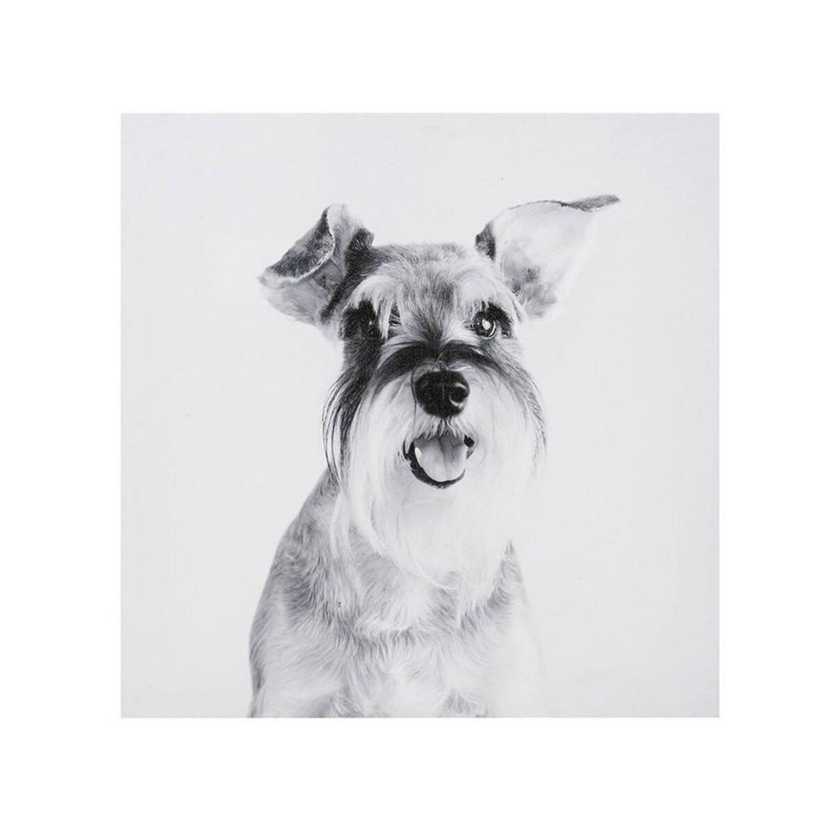 OSTARIA Ensemble de 4 tableaux sur toile imprimée 28x28 cm Funny