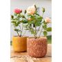 Voir la diapositive 2 : Paris Prix Plante Artificielle en Pot  Rosier  39cm Rose