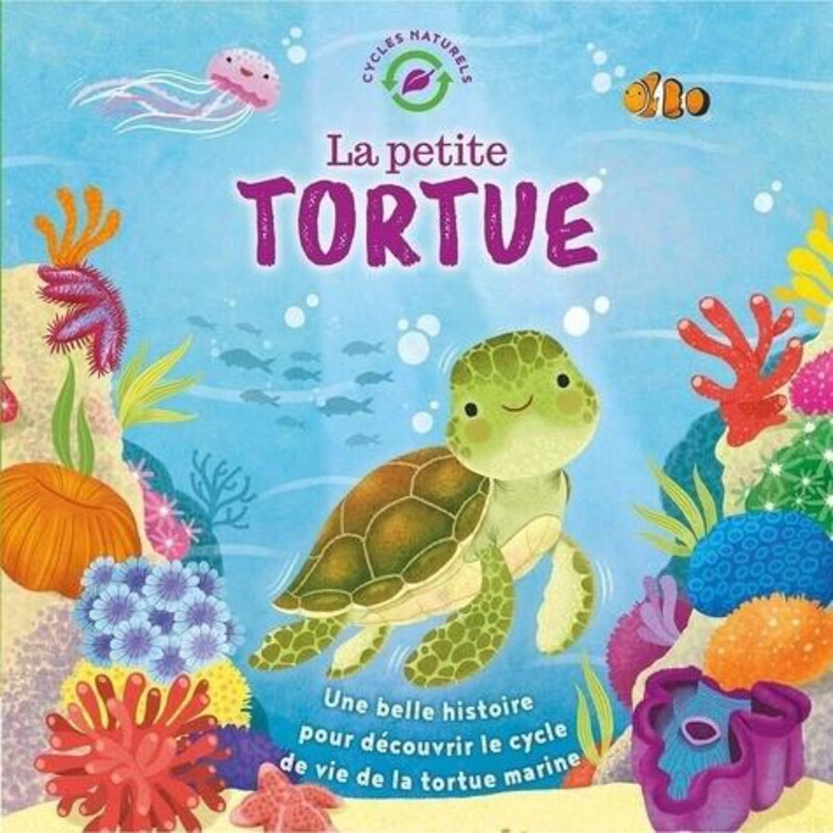 LA PETITE TORTUE, Jones Wednesday