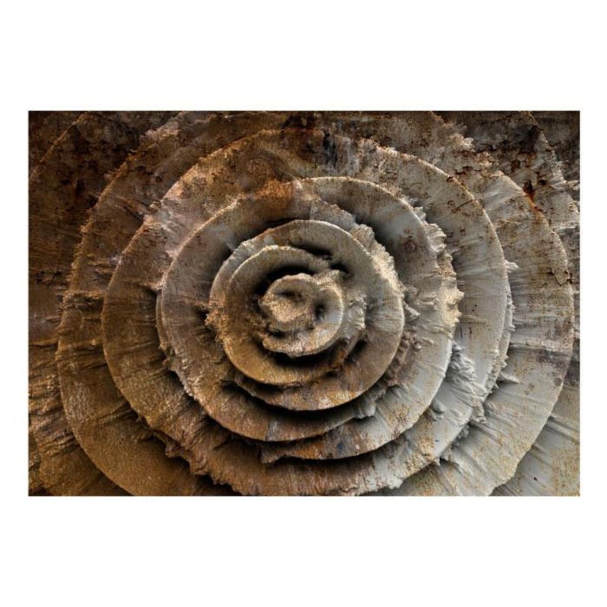 Paris Prix Papier Peint  Desert Rose