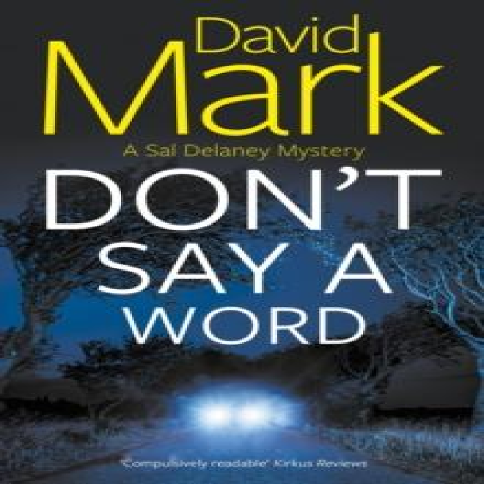 LIVRES Don't Say a Word - David Mark