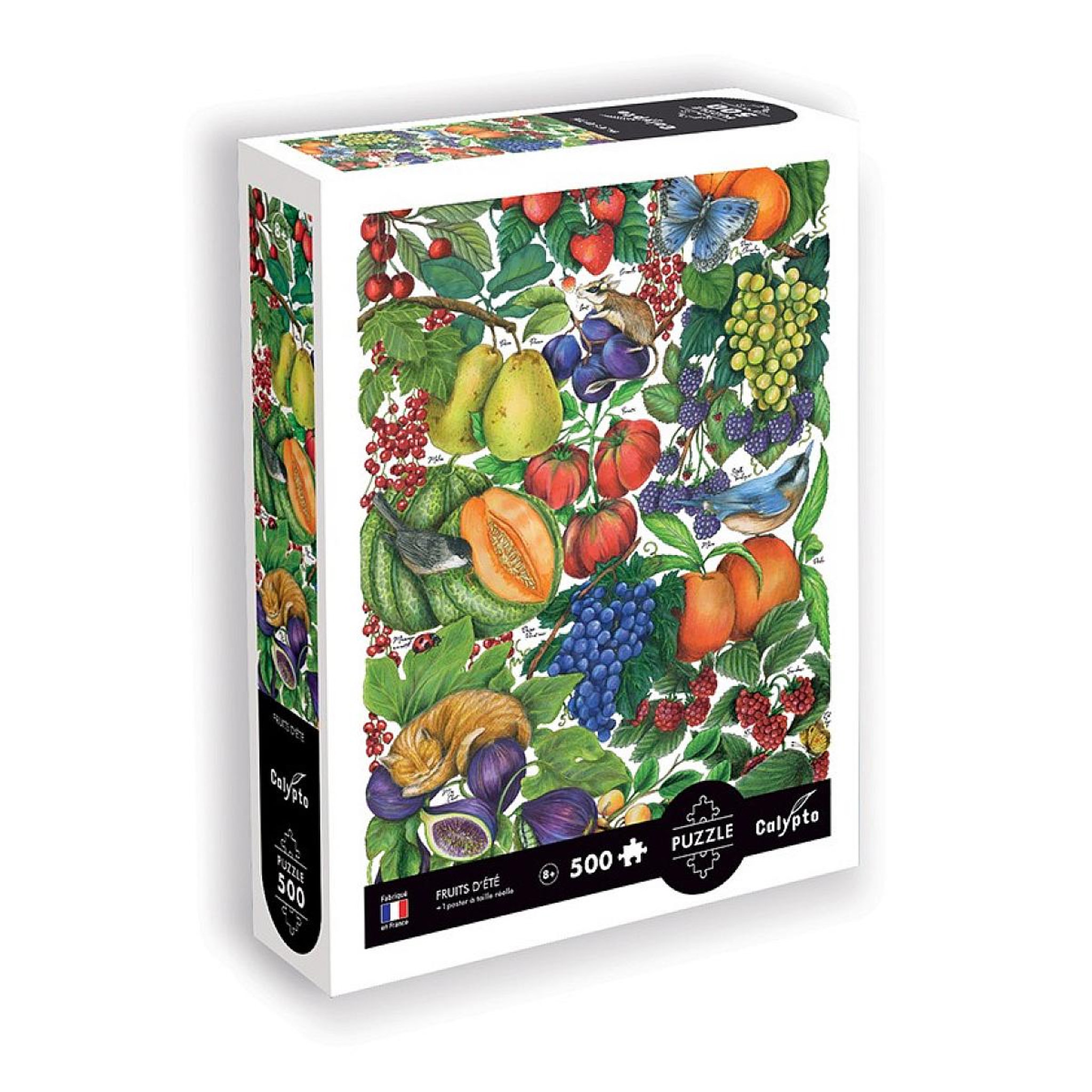 Sentosphere 500 p Les fruits d'ete Calypto