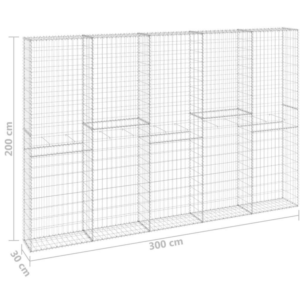 VIDAXL Mur en gabion avec couvercles Acier galvanise 300x30x200 cm