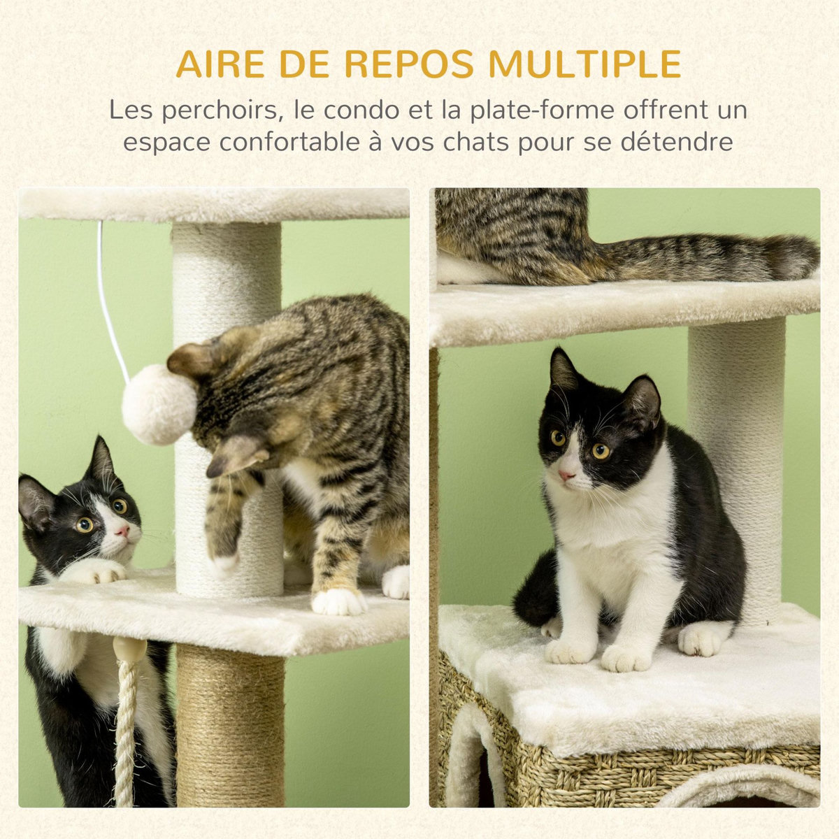 PAWHUT Arbre à chat style cosy chic griffoirs sisal naturel niche plateformes corde jeu boule peluche courte cordes d'algues tressées