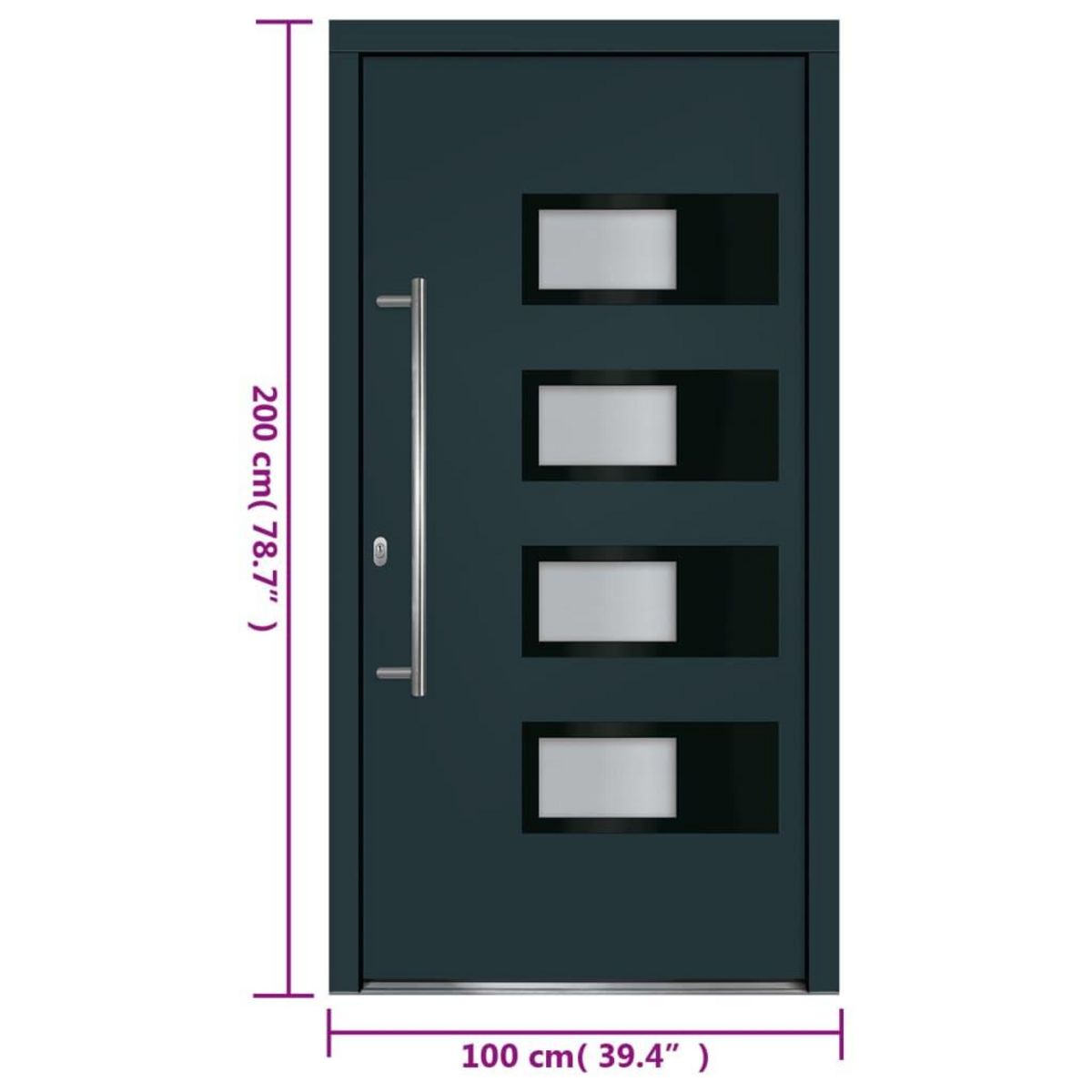 VIDAXL Porte d'entree Anthracite 100x200 cm Aluminium et PVC