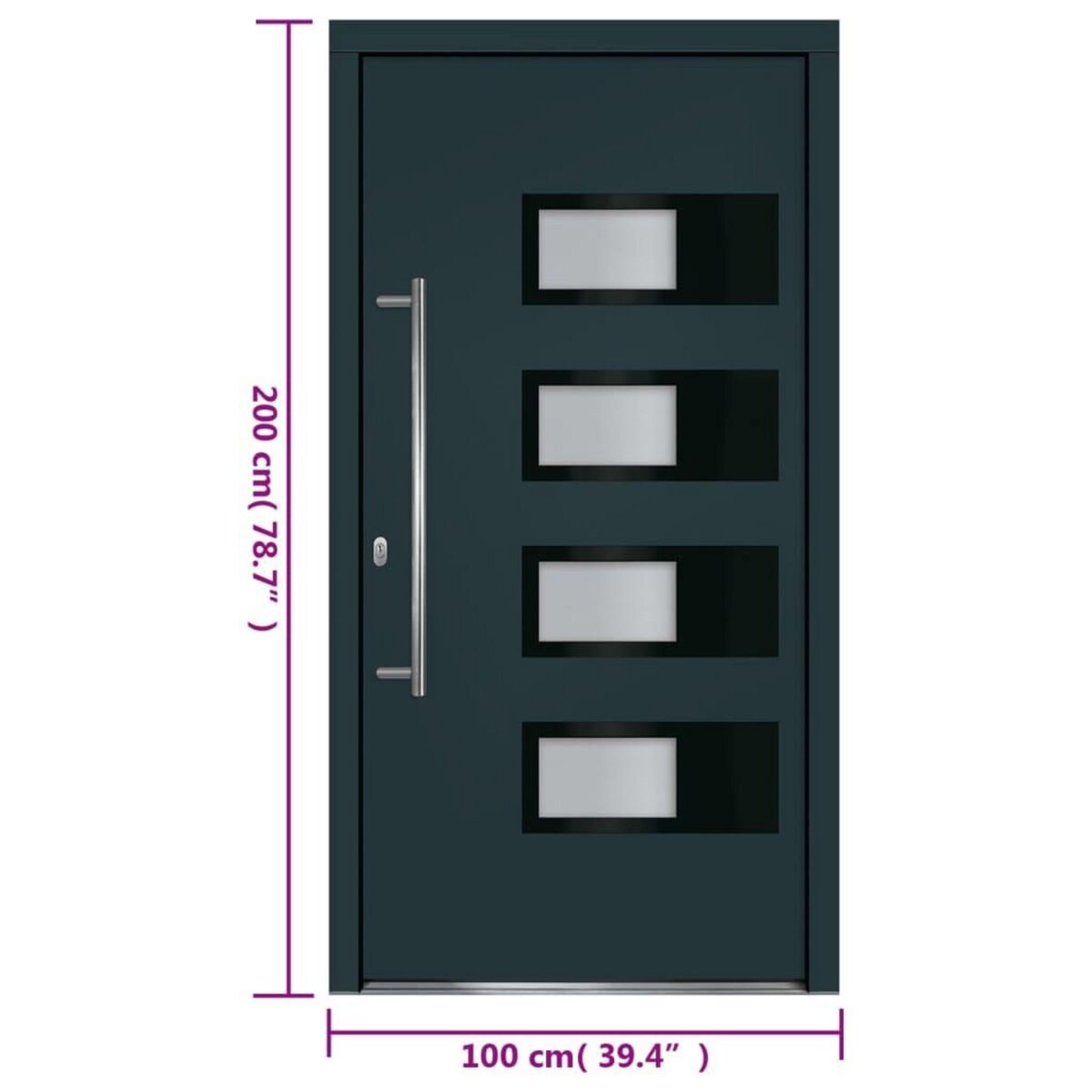 VIDAXL Porte d'entree Anthracite 100x200 cm Aluminium et PVC