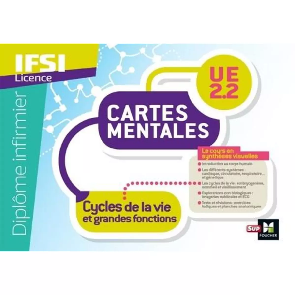  IFSI LICENCE. CARTES MENTALES UE 2.2 CYCLES DE LA VIE ET GRANDES FONCTIONS, Faure Sandrine