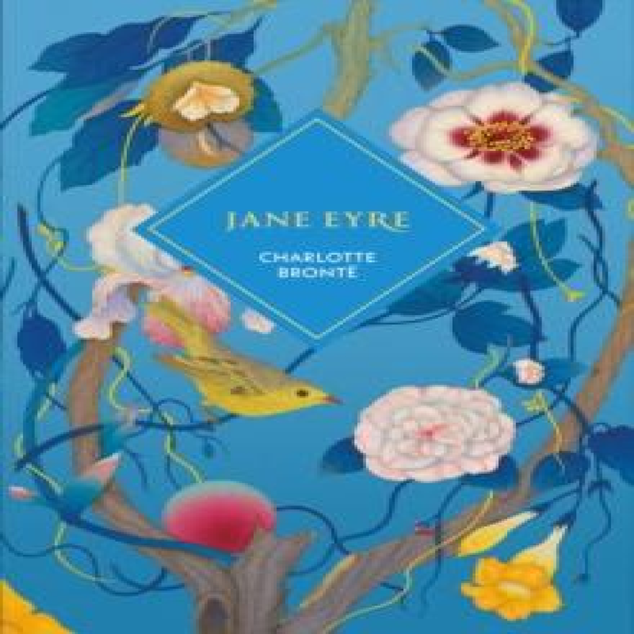 LIVRES Jane Eyre - Charlotte BrontÃ«