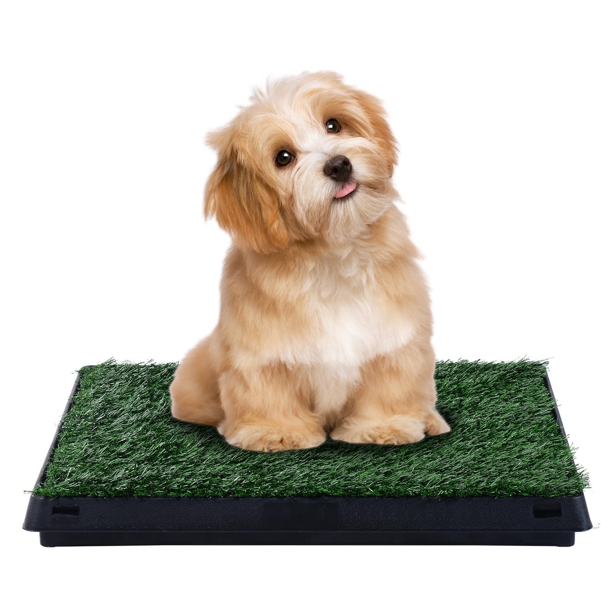 Voir la diapositive 2 : PAWHUT Litière gazon synthétique chiens toilettes portables à pelouse tiroir à déjection 63l x 51l x 6h cm noir vert
