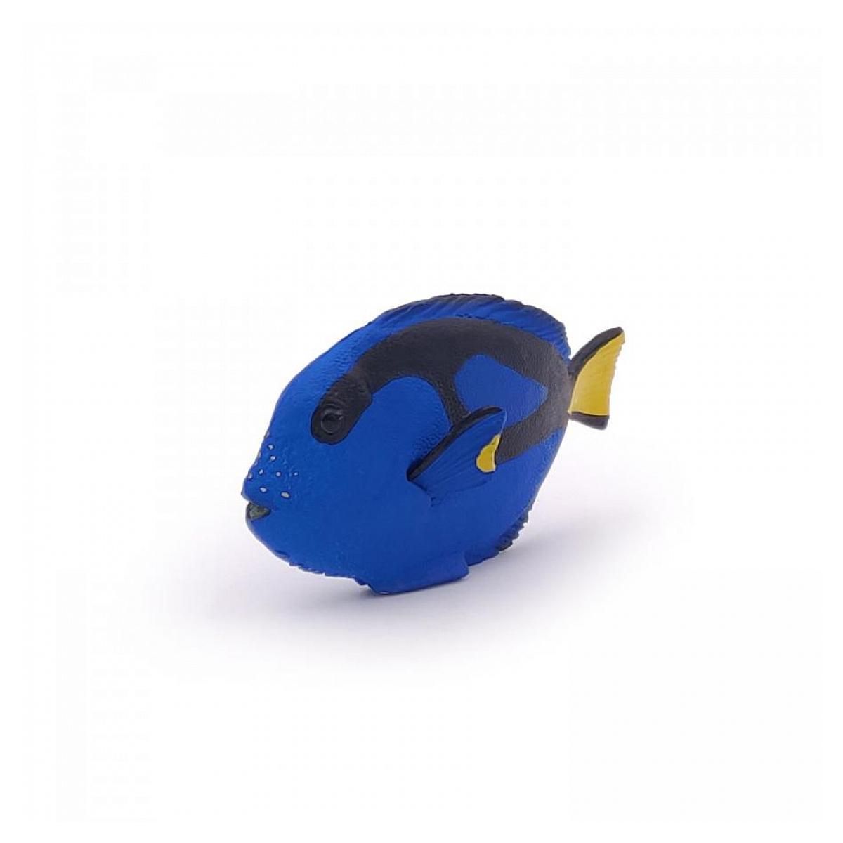 Papo 56024 Figurine Poisson chirurgien