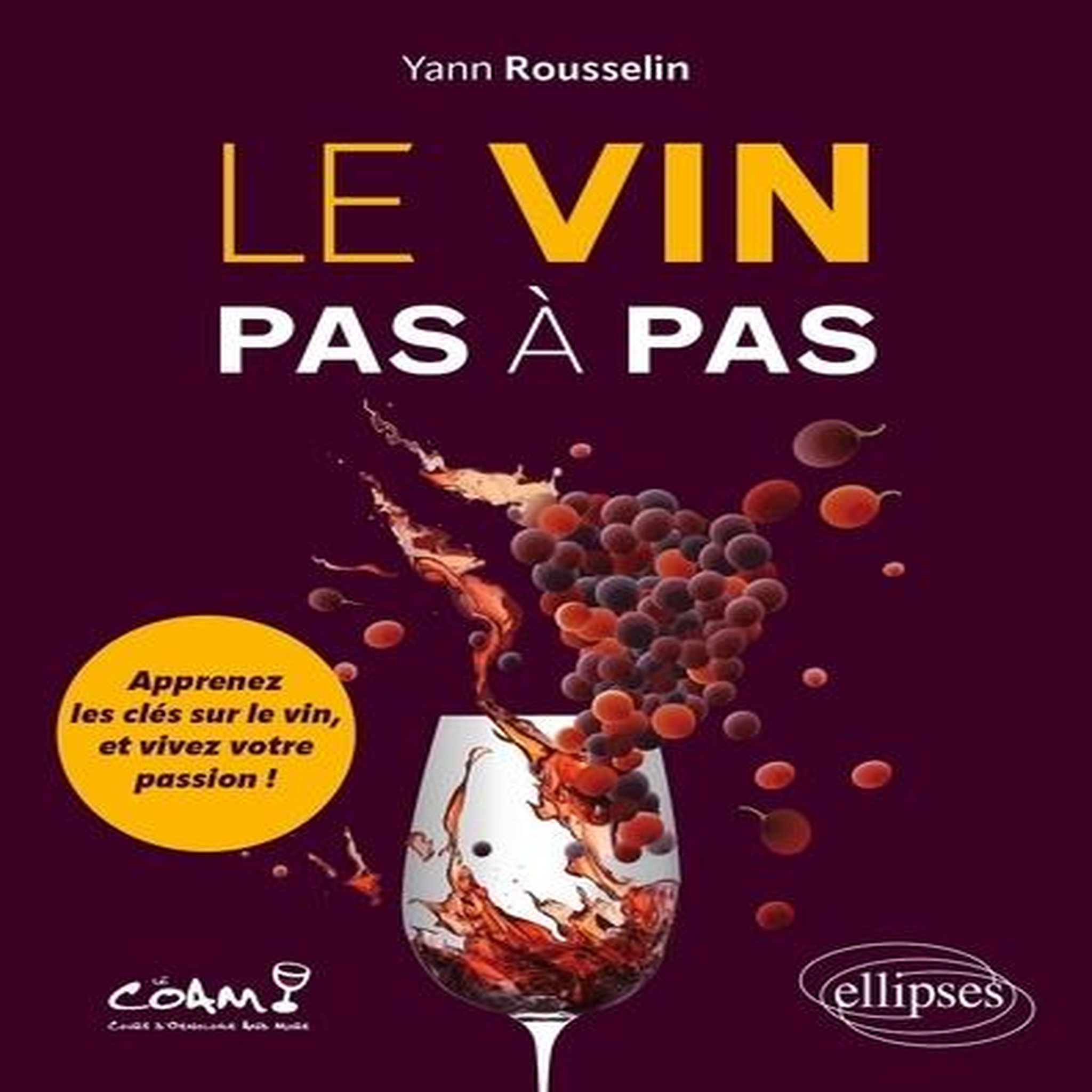 LE VIN PAS A PAS. APPRENEZ LES CLES SUR LE VIN, ET VIVEZ VOTRE PASSION !, Rousselin Yann