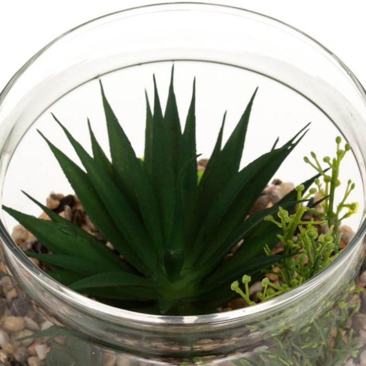 ATMOSPHERA Terrarium en Verre & Bois  Brito  17cm Transparent