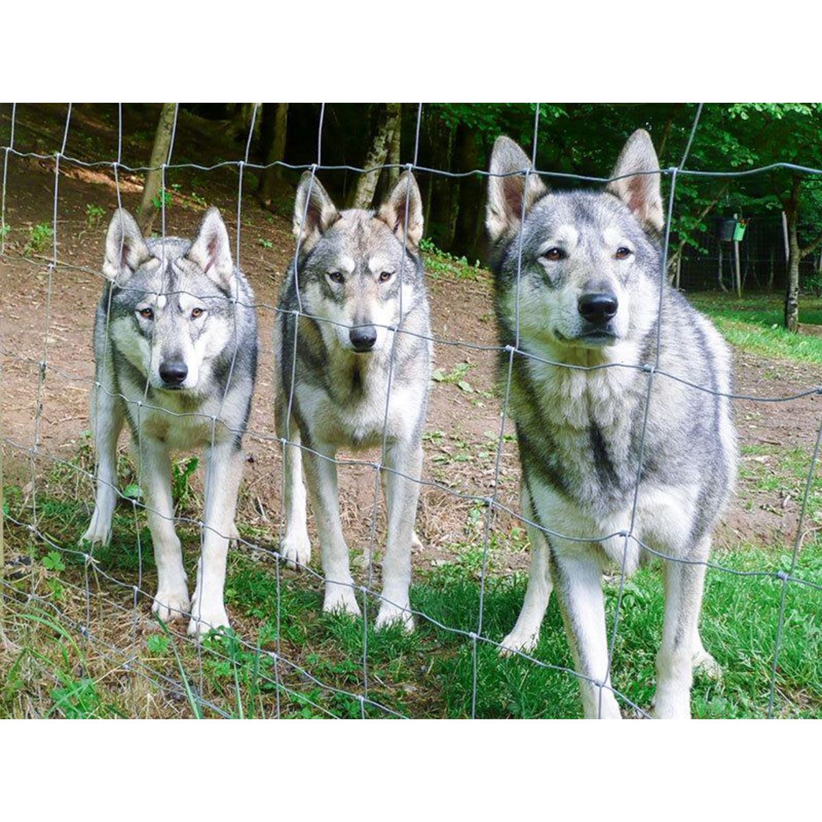 Smartbox Séjour insolite en tipi : 2 jours près de Limoges - Coffret Cadeau Séjour