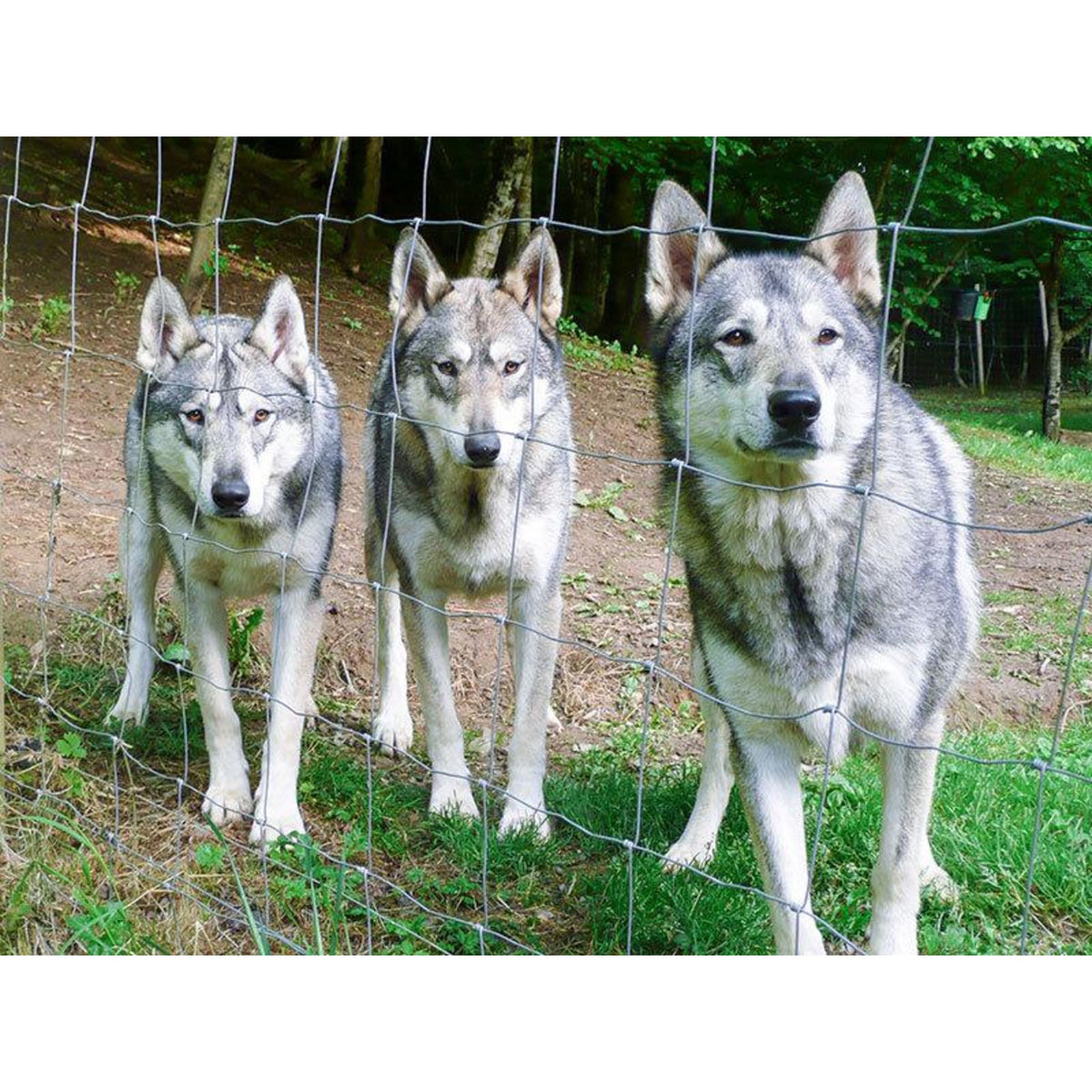 Smartbox Séjour insolite en tipi : 2 jours près de Limoges - Coffret Cadeau Séjour