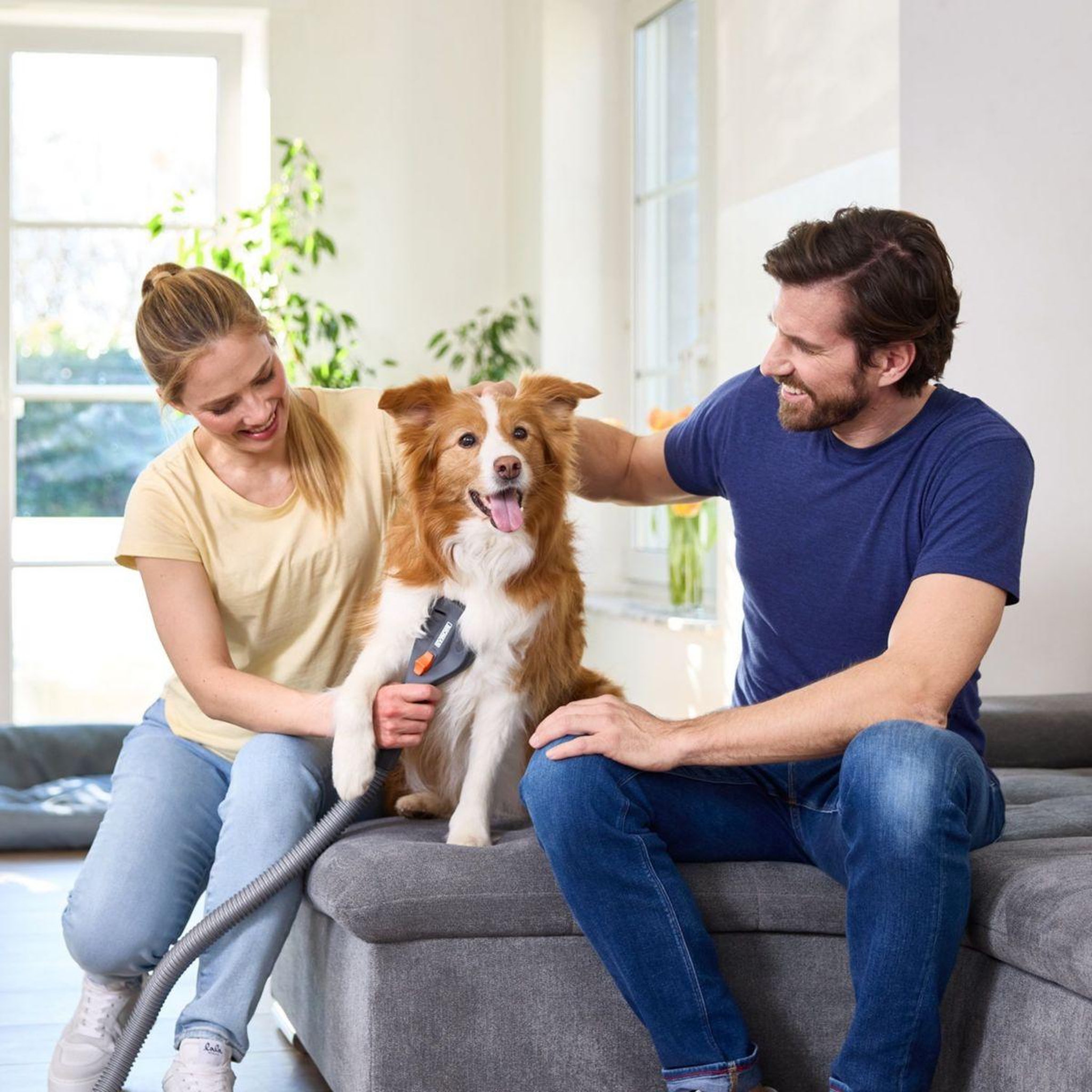 Voir la diapositive 4 : Thomas Accessoire toilettage toilettage douce chiens chats aspirateur