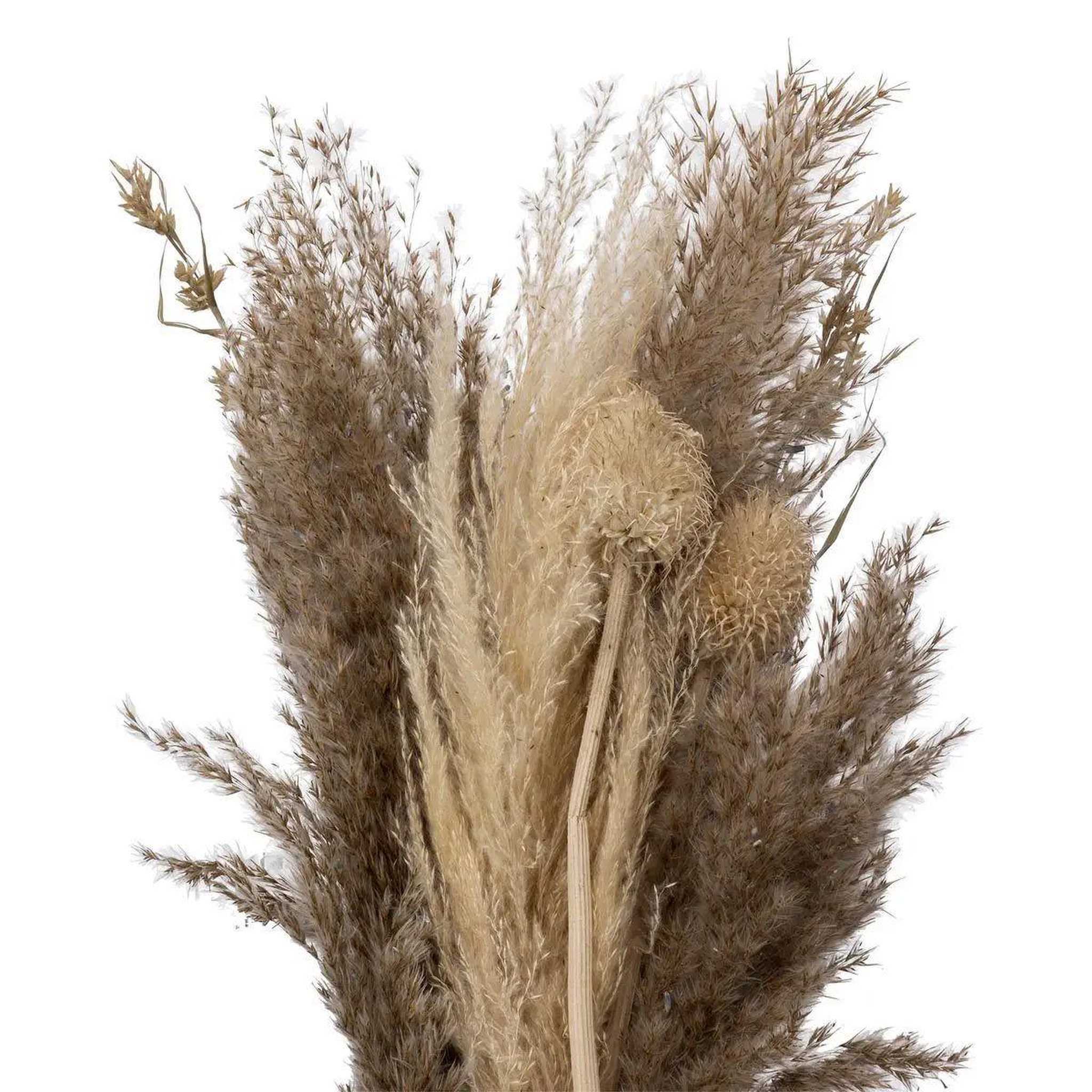 Voir la diapositive 2 : ATMOSPHERA Bouquet de fleurs séchées  pampa  58cm naturel