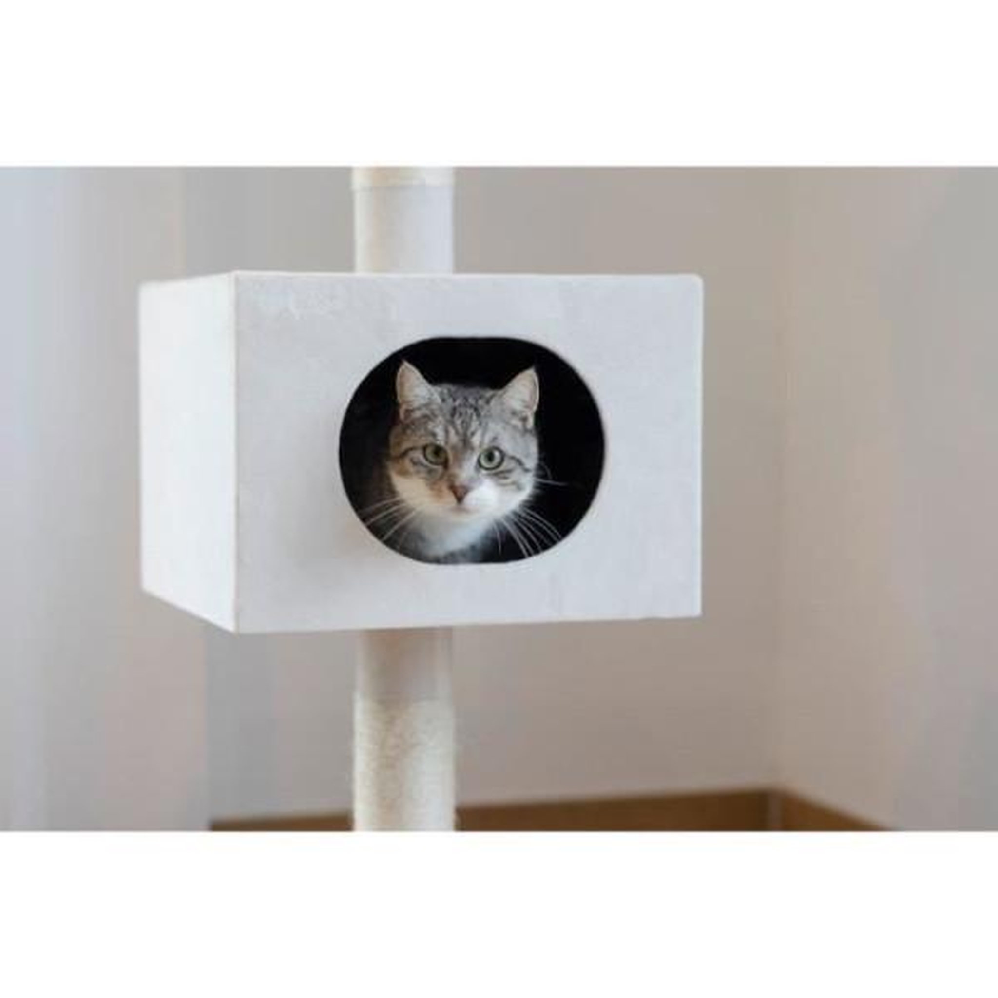 Voir la diapositive 6 : KERBL KERBL - Arbre a chat FERDI - 38 x 38 x 240 a 260 cm - Blanc - Sisal