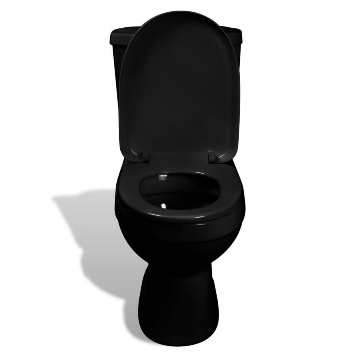 VIDAXL Toilette avec reservoir Noir