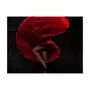 Paris Prix Papier Peint  Danseuse de Flamenco 