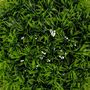 Voir la diapositive 2 : ATMOSPHERA Boule d'Herbe Artificielle  Carly  18cm Vert