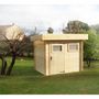 Voir la diapositive 1 : Abri de jardin bois MIKKI / 4.79m²