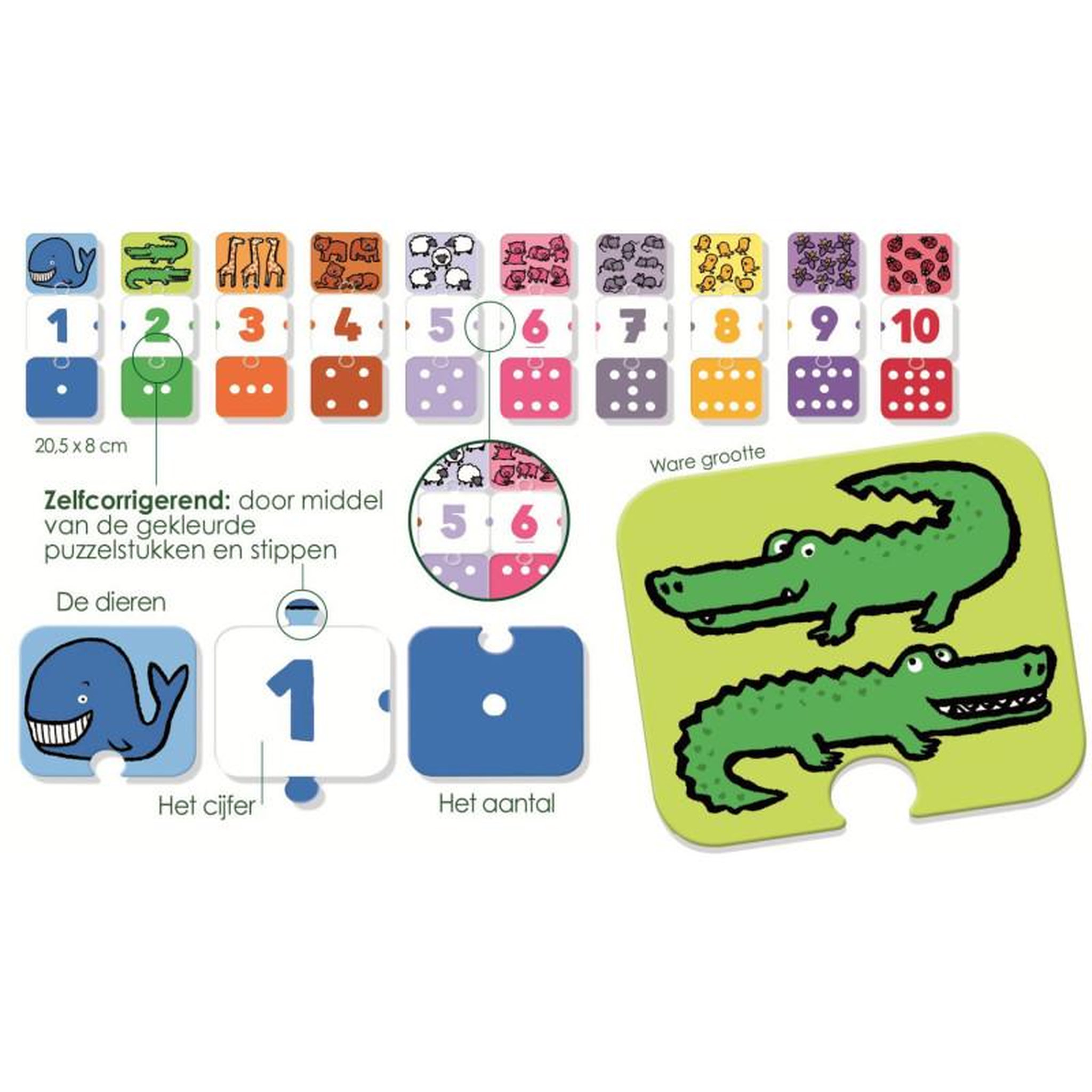 Voir la diapositive 3 : Jumbo JUMBO I Learn Numbers
