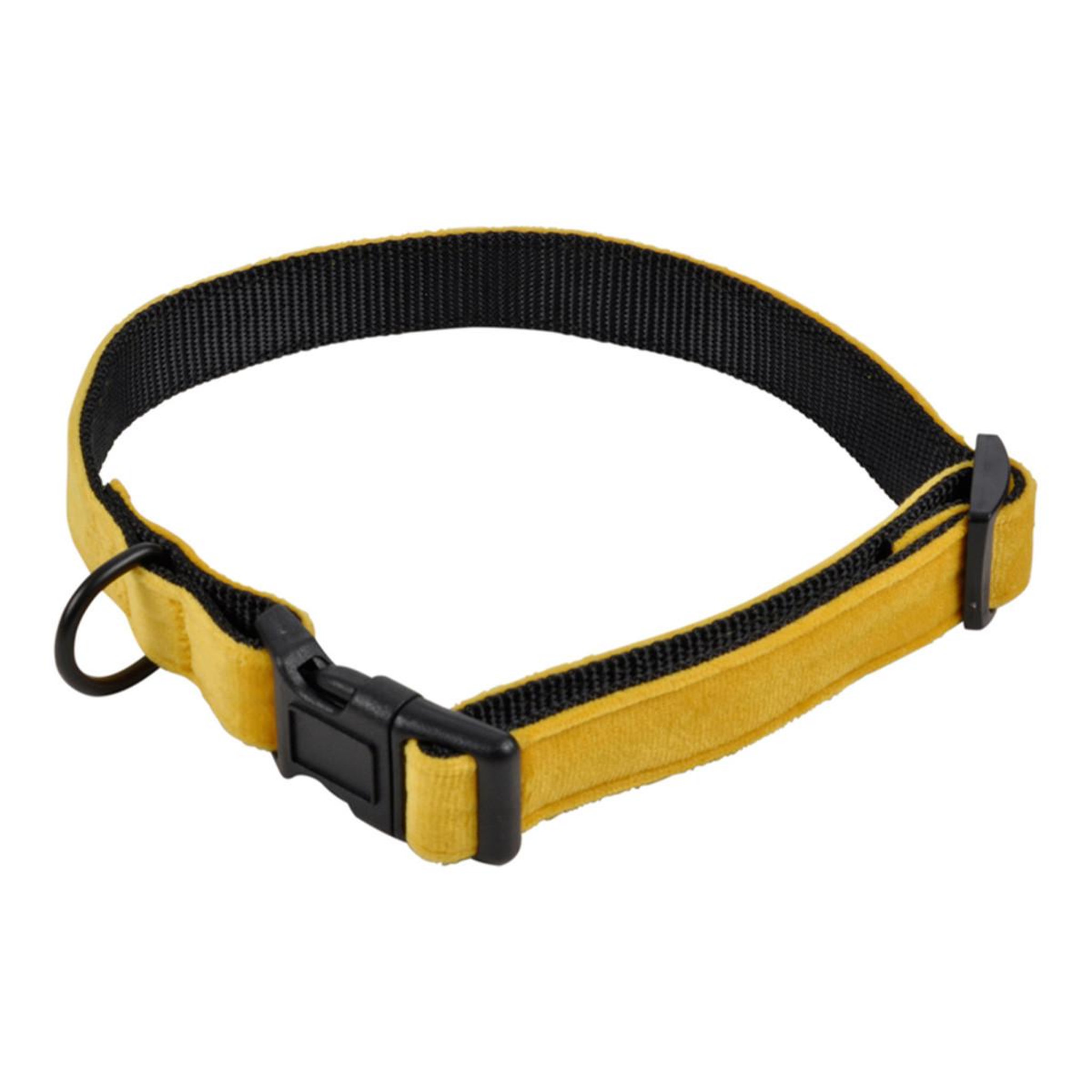 HOMEA Collier pour chien  cosy golden  55cm jaune