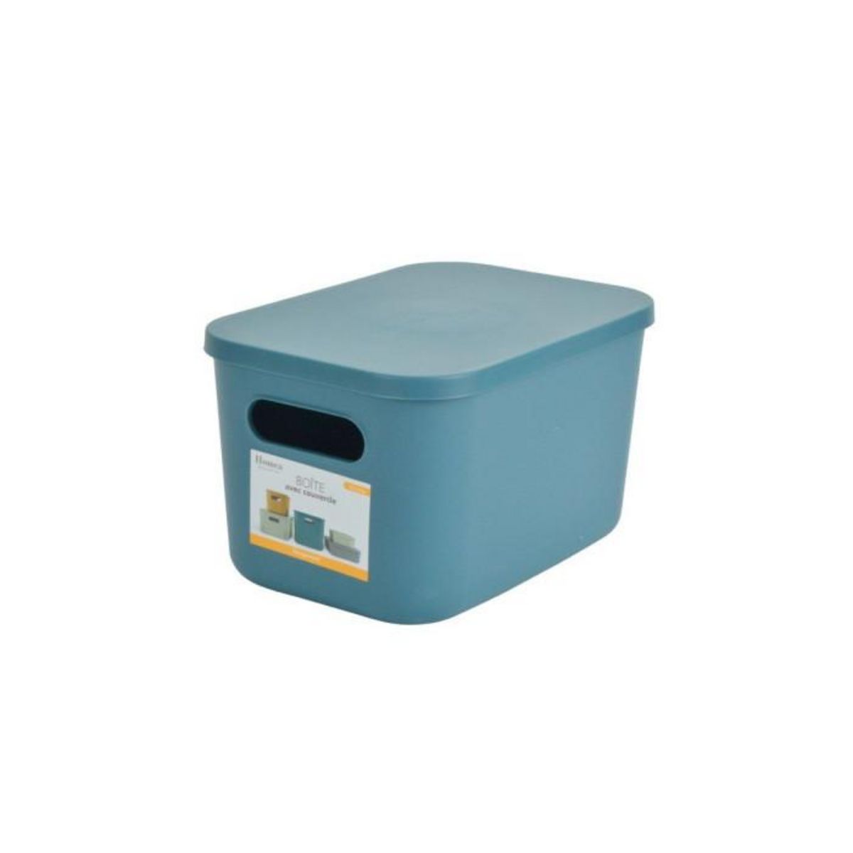 Paris Prix Boîte de Rangement Avec Couvercle  Iris  4,5L Emeraude