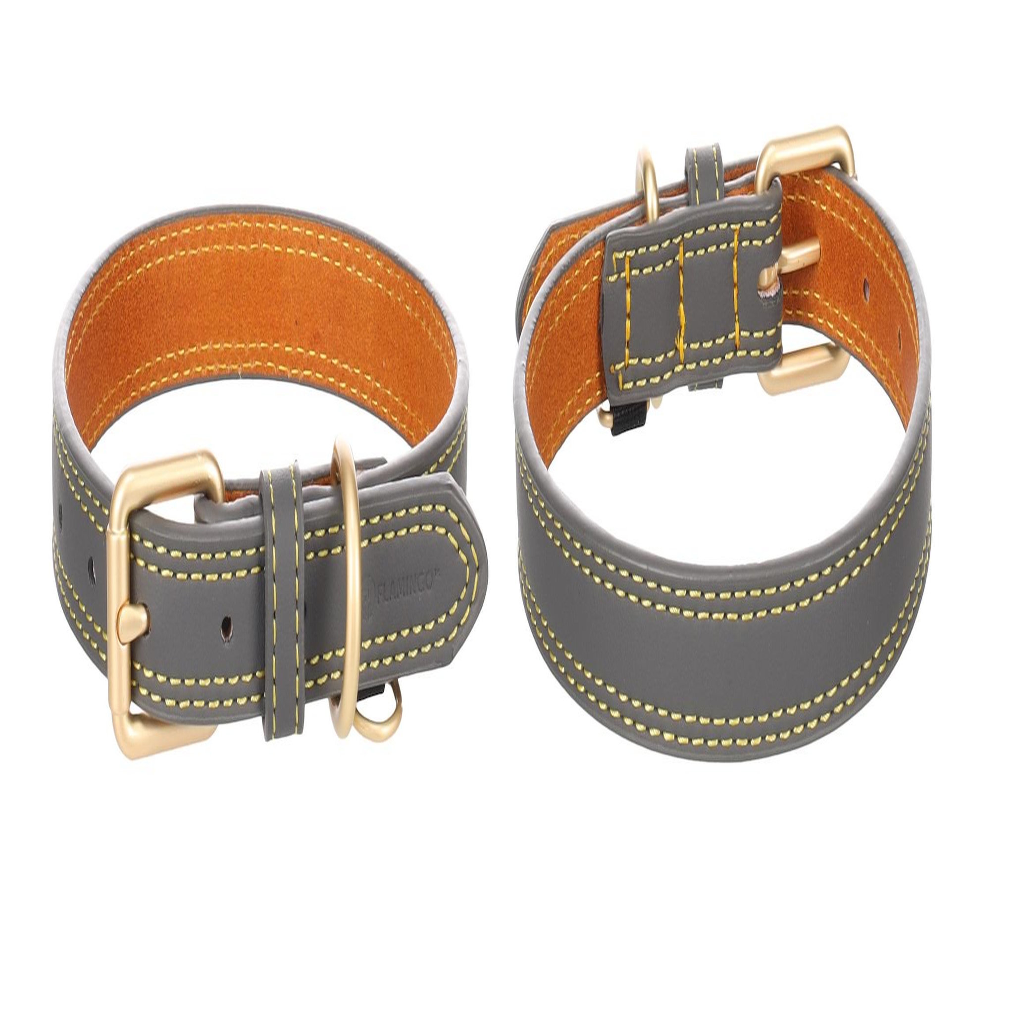 Voir la diapositive 4 : Eden Collier pour chien virginia en cuir