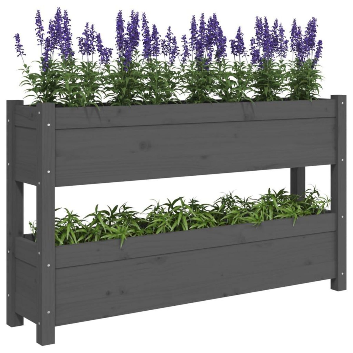 VIDAXL Jardiniere Gris 112x25x66 cm Bois massif de pin