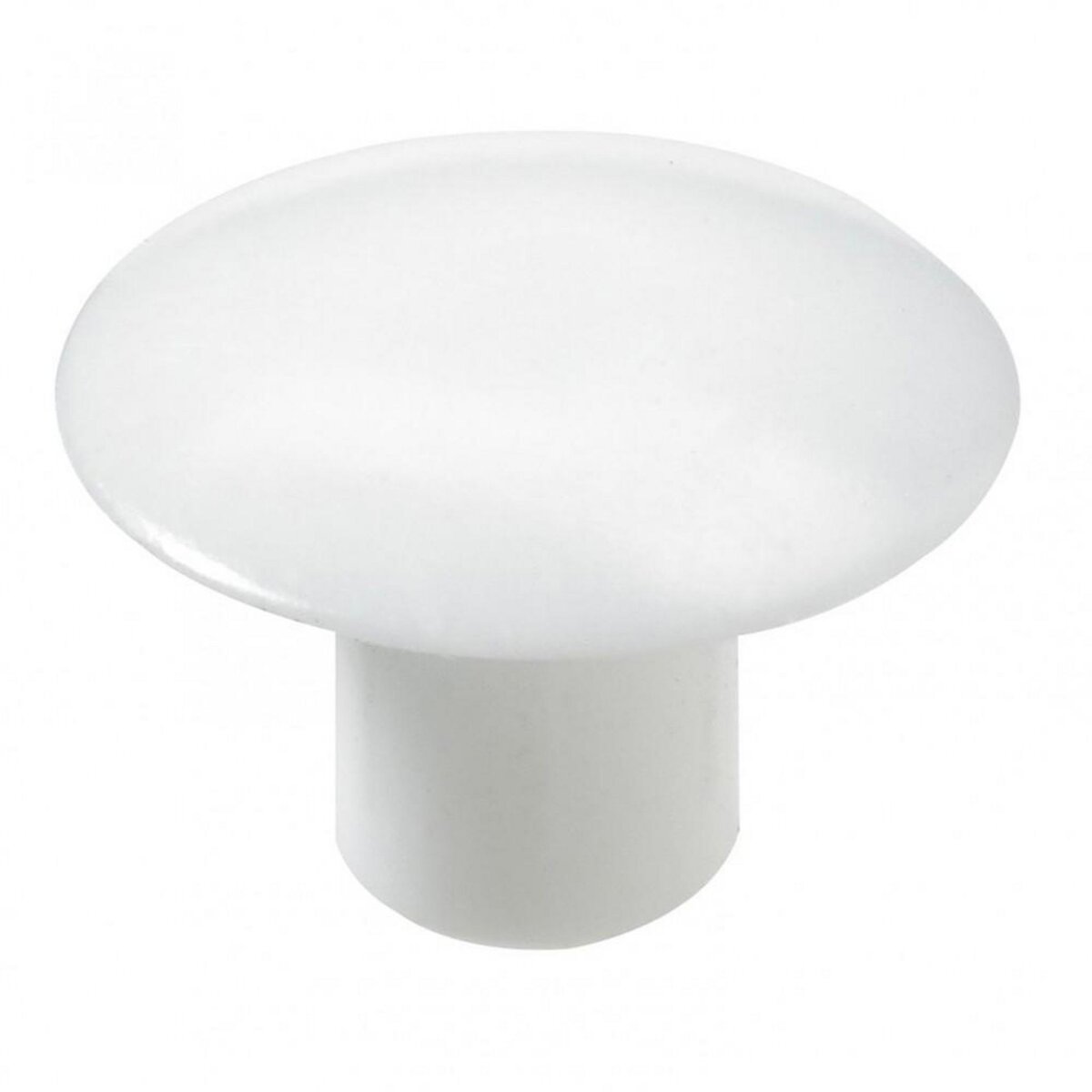 CENTRALE BRICO Lot de 20 cache-vis plastique brut HETTICH