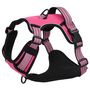 Voir la diapositive 4 : VIDAXL Harnais pour chien avec bandes reflechissantes reglables rose M