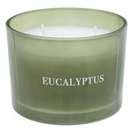 ATMOSPHERA Bougie Parfumée Déco  Cosy  280g Eucalyptus