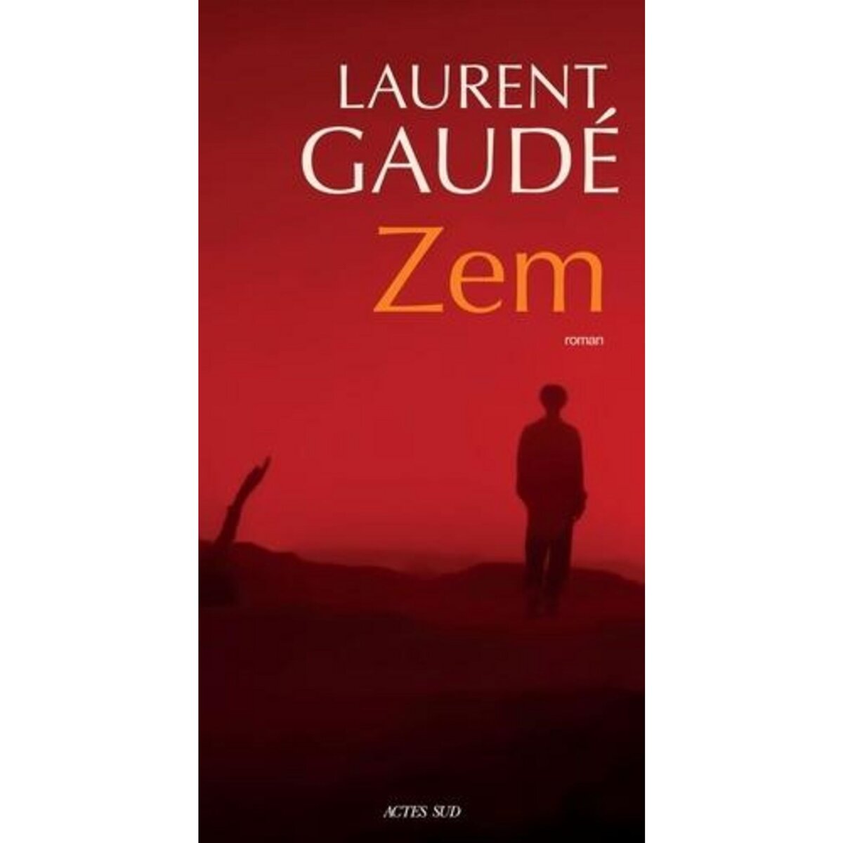 ZEM, Gaudé Laurent