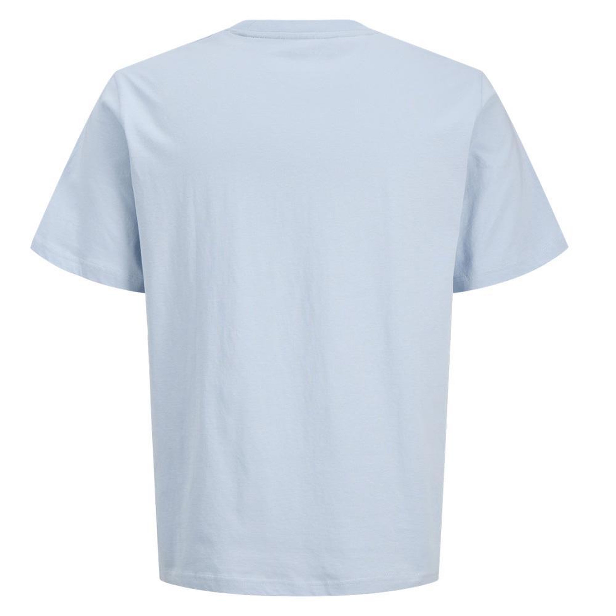 Voir la diapositive 2 : Jack & Jones T-Shirt Bleu Clair Garçon Jack & Jones Perry