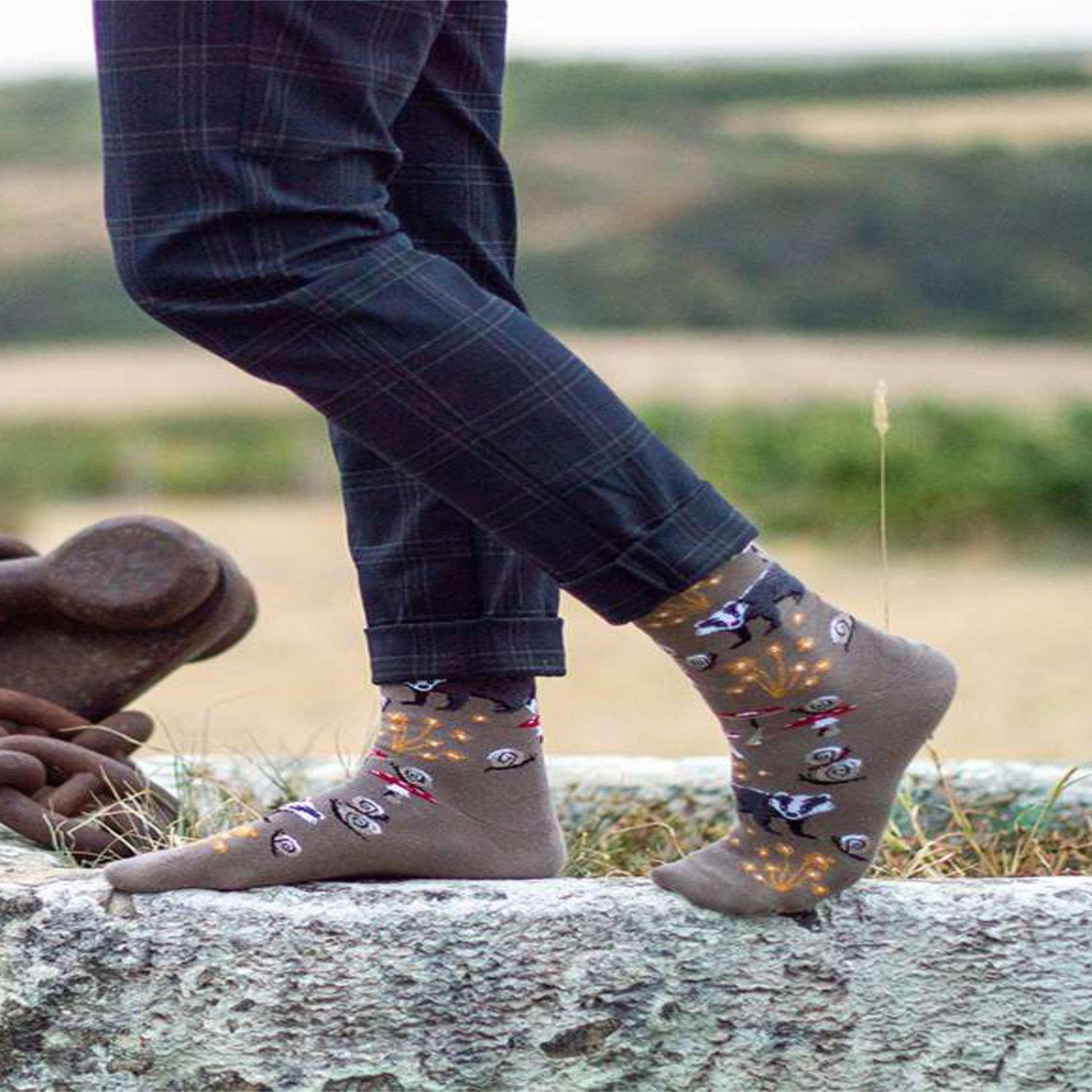 Voir la diapositive 4 : PIRIN HILL Chaussettes coton bio automne blaireaux & escargots