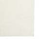 Voir la diapositive 5 : VIDAXL Tapis de tente creme 4x2 m