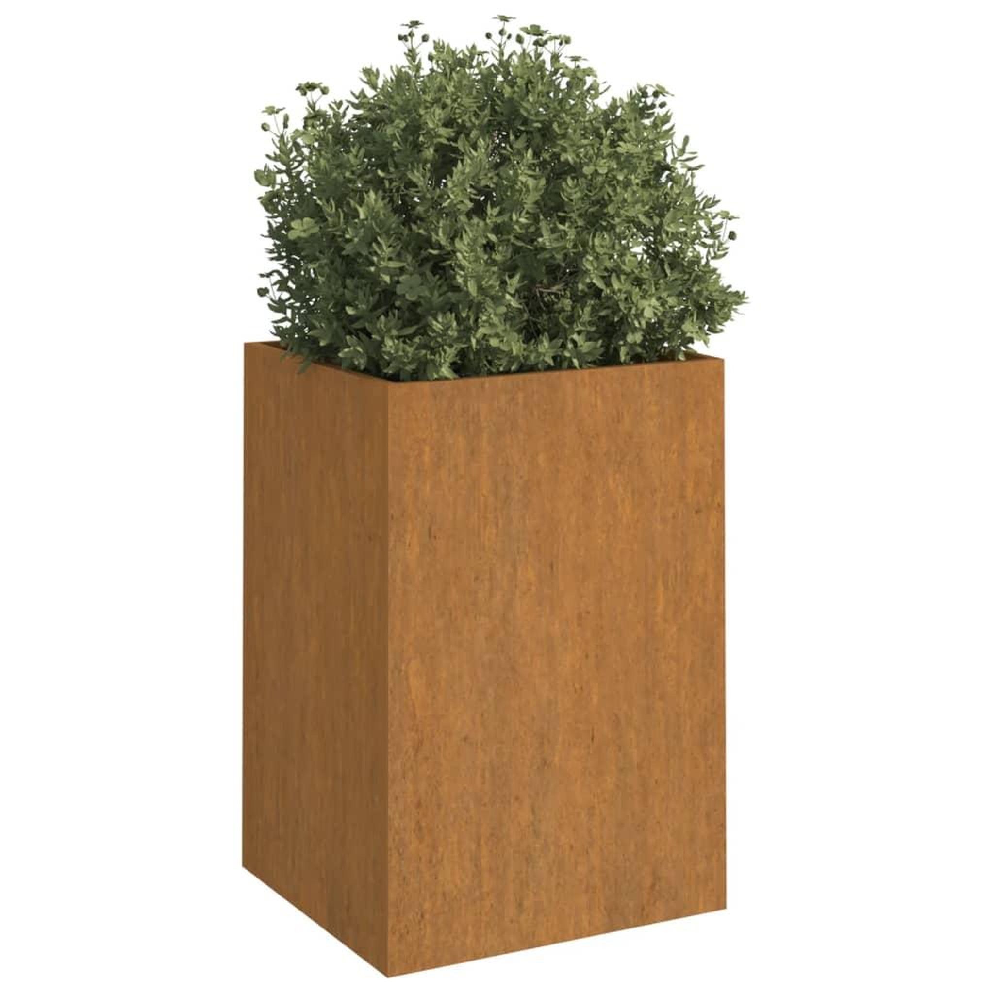 Voir la diapositive 3 : VIDAXL Jardiniere 42x38x75 cm acier corten