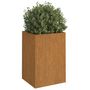 Voir la diapositive 3 : VIDAXL Jardiniere 42x38x75 cm acier corten