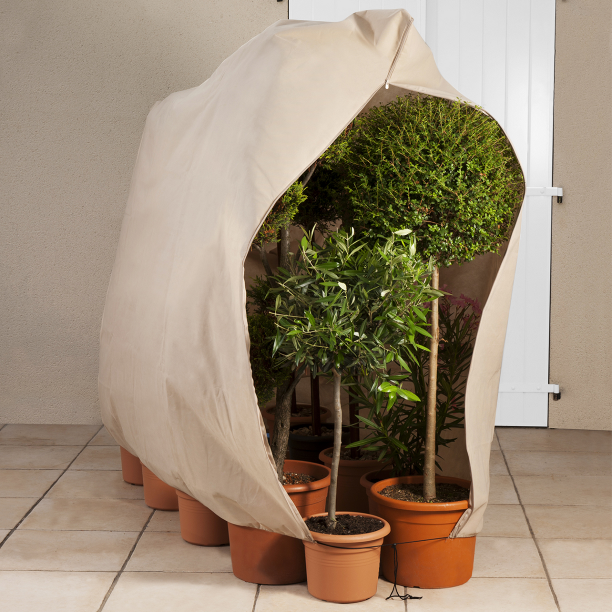ID MARKET Lot de 3 housses d'hivernage pour plante et arbuste 80 x 160 cm