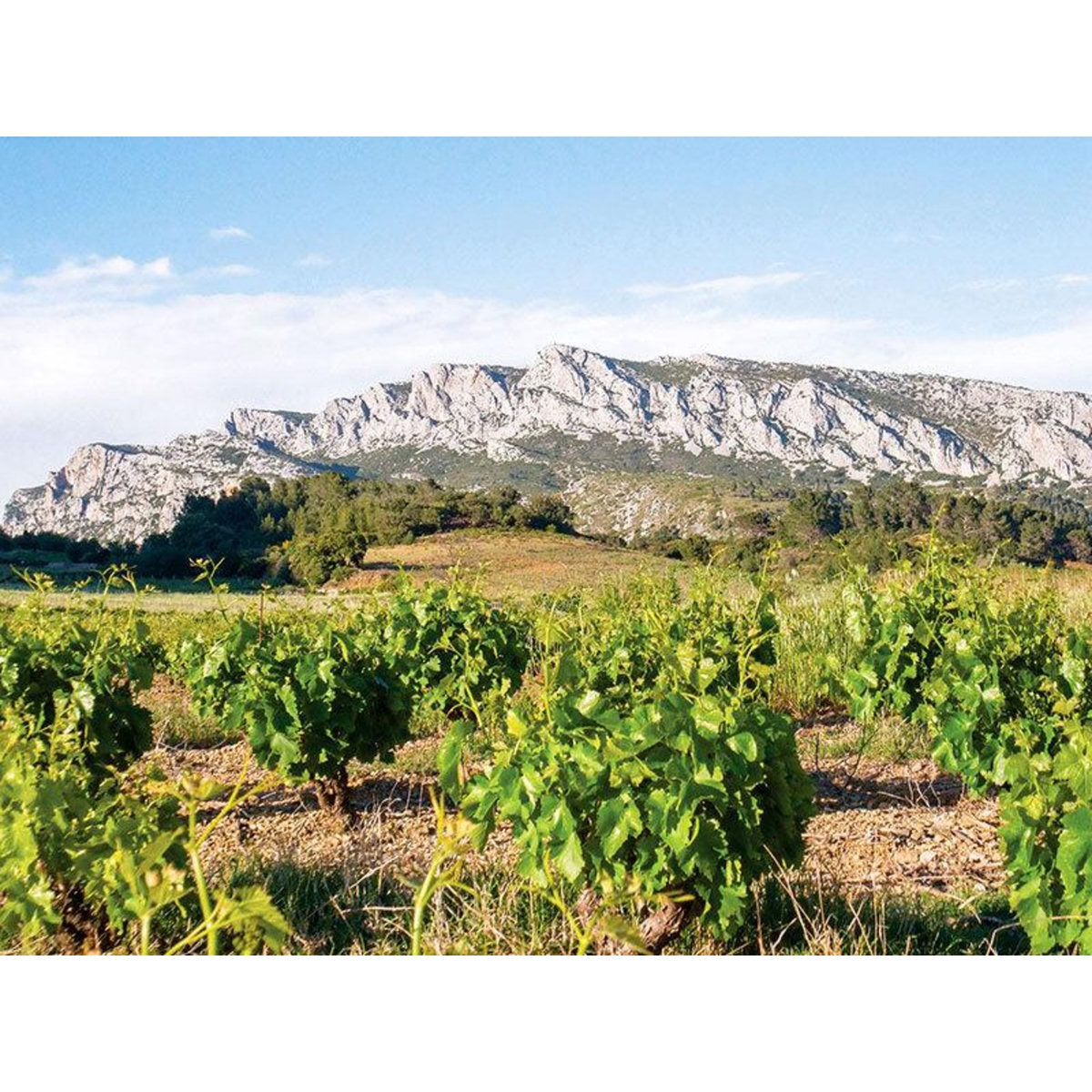 Smartbox Séjour œnologique : 3 jours au vert près de Perpignan - Coffret Cadeau Séjour