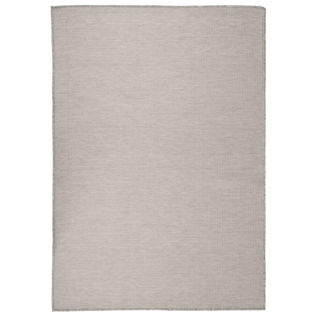 VIDAXL Tapis a tissage plat d'exterieur 160x230 cm Taupe