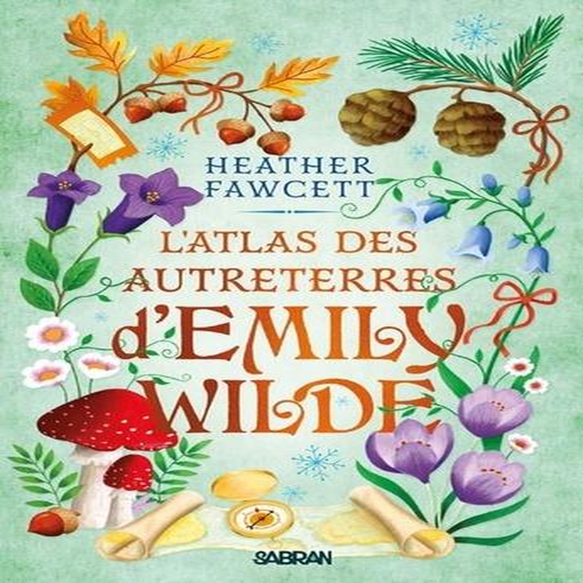 L'ENCYCLOPEDIE FEERIQUE D'EMILY WILDE TOME 2 : L'ATLAS DES AUTRETERRES D'EMILY WILDE, Fawcett Heather
