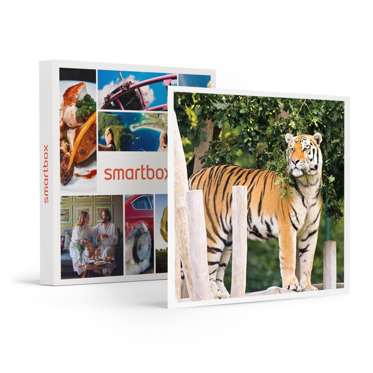 Smartbox Entrée au Parc Bellewaerde en 2024 pour 1 adulte - Coffret Cadeau Sport & Aventure