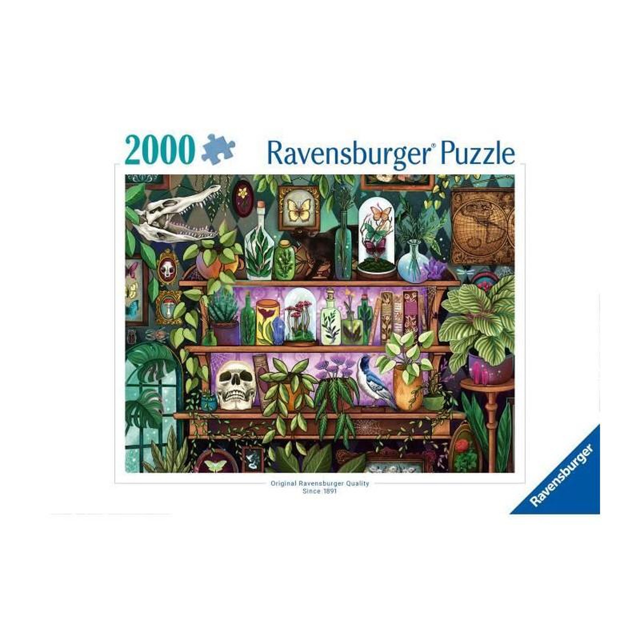 Voir la diapositive 2 : RAVENSBURGER Puzzle 2000 pièces - Bibelots et objets de sorcière, Plantes - Premium - Dès 14 ans