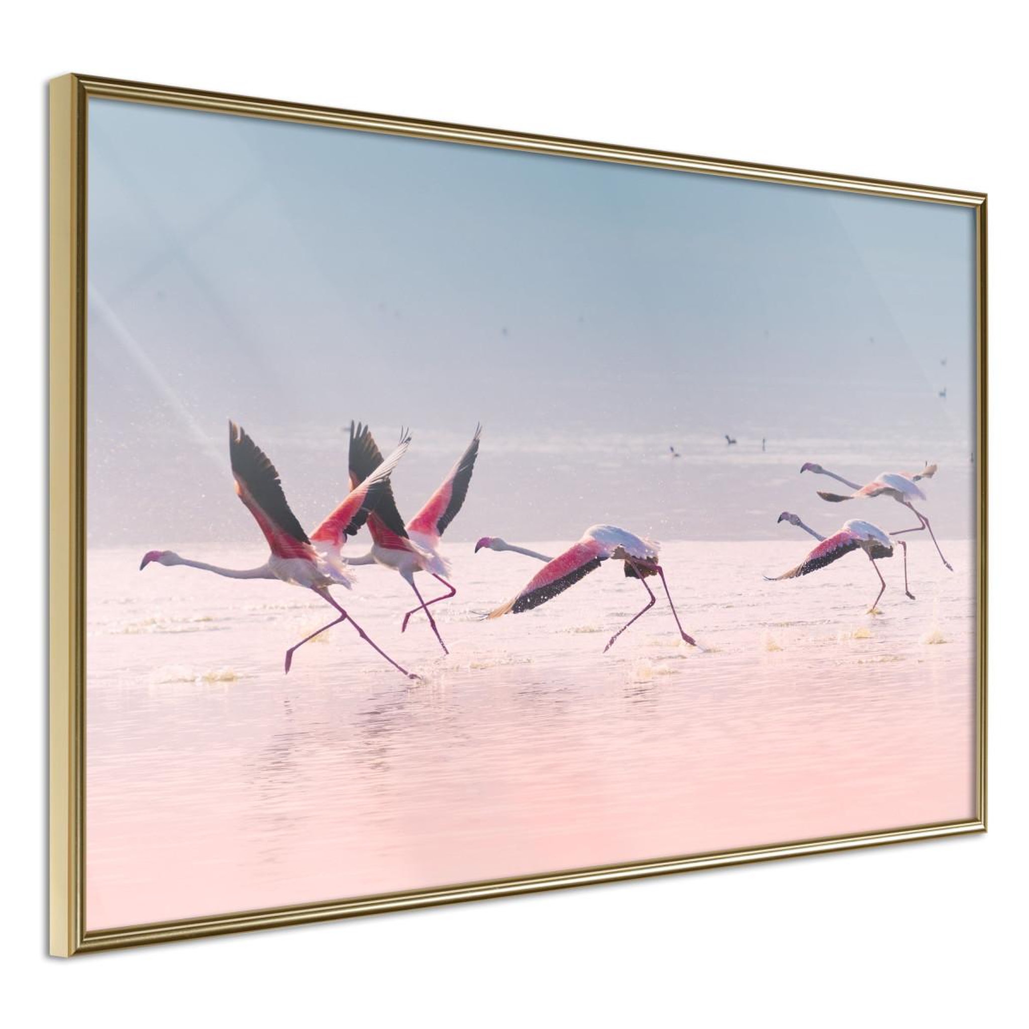 Paris Prix Affiche murale encadrée  flamingos breaking into a flight